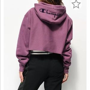 Champion Cropped Reverse Weave Hoodie Sweatshirt